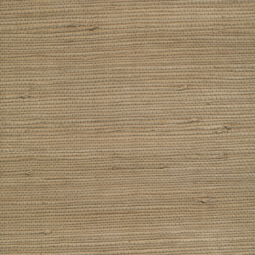 Grasscloth in Cactus