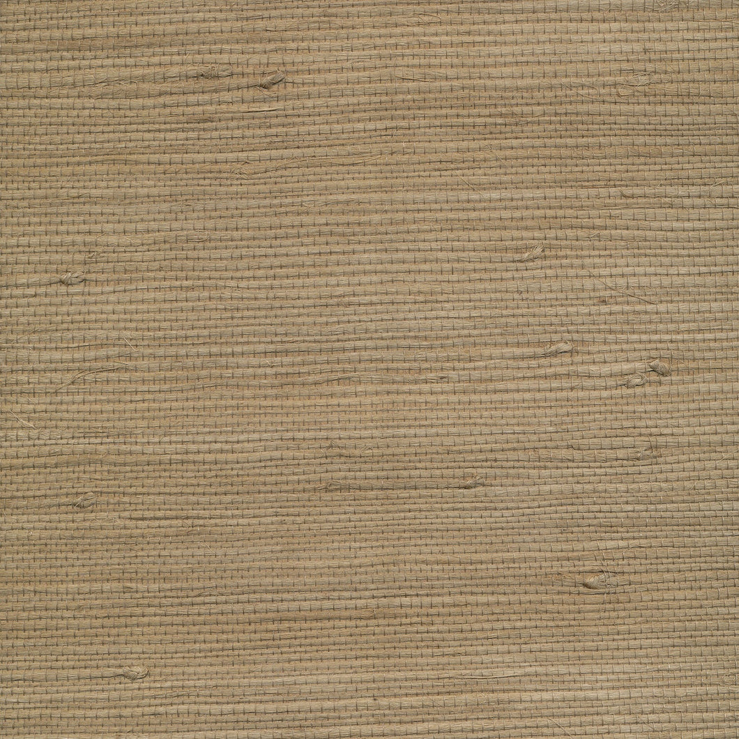 Grasscloth in Cactus