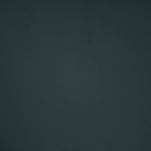 Chalkboard Paint in Sea Monster