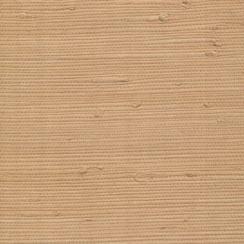 Grasscloth in Sahara