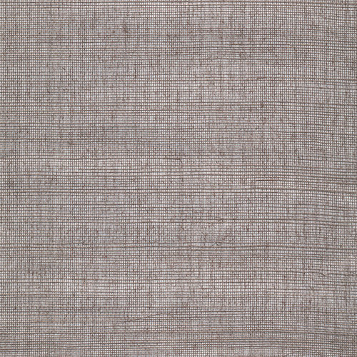 Grasscloth in Silverback