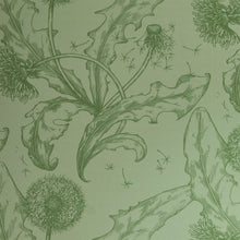 Load image into Gallery viewer, Dandelion in Celadon Green