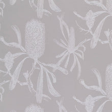 Load image into Gallery viewer, Banksia in Fog