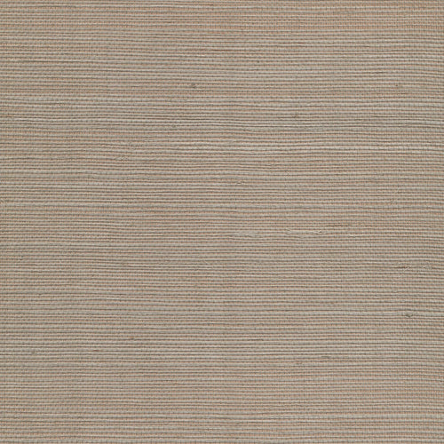 Grasscloth in Meerkat