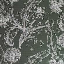 Load image into Gallery viewer, Dandelion in Sage